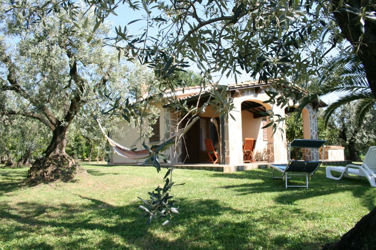 Casetta Sulla Bolgherese Immersa Nel Hébergement de vacances Castagneto Carducci